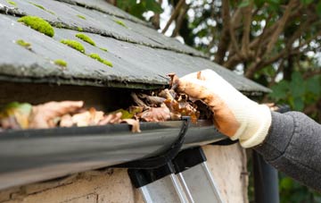 gutter cleaning Pwllmeyric, Monmouthshire